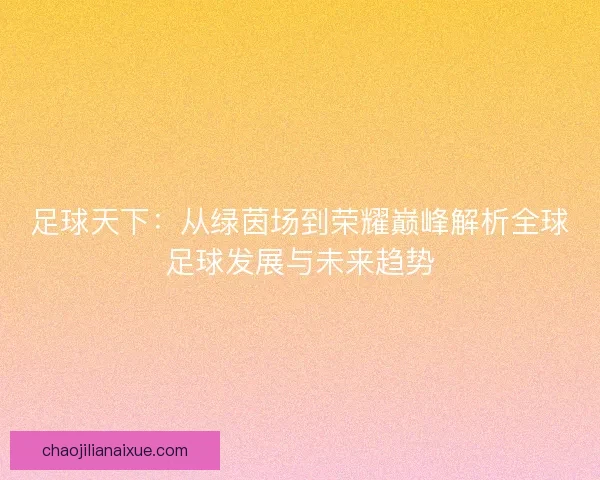 足球天下：从绿茵场到荣耀巅峰解析全球足球发展与未来趋势