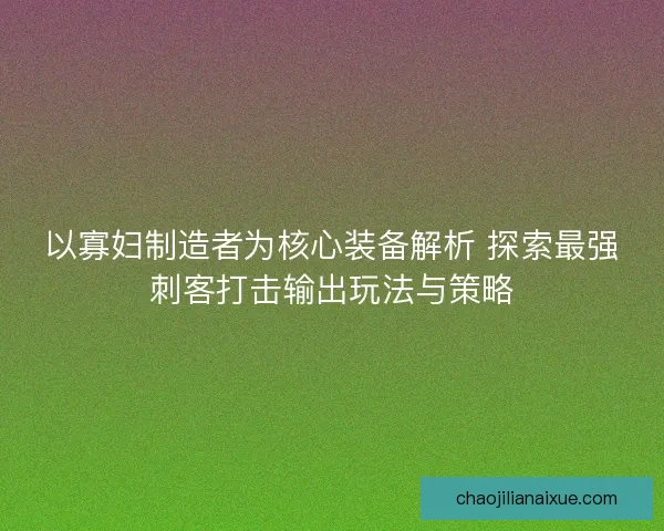 以寡妇制造者为核心装备解析 探索最强刺客打击输出玩法与策略